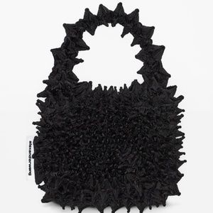 Alexander wang expandable purse